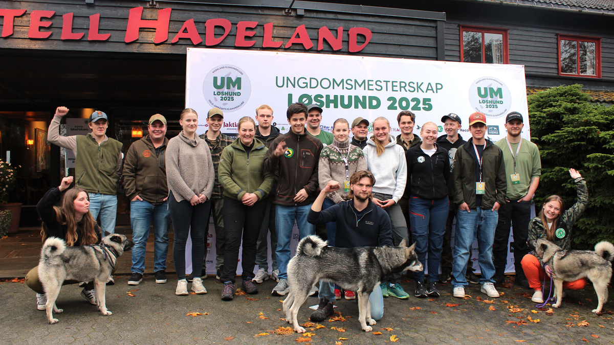 Unge elghundførere har inntatt Hadeland, nå er Ungdomsmesterskap i Løshund 2025 i gang!